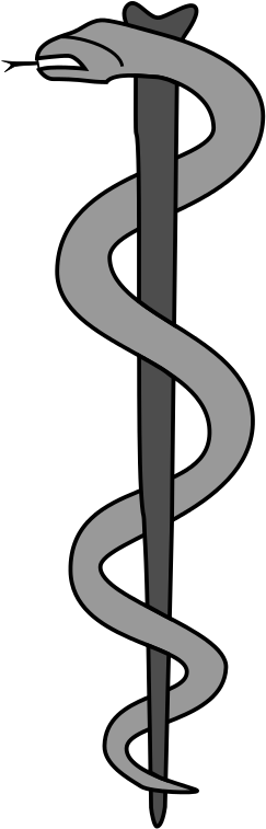 Rod Of Asclepius Left Drk - Rod Of Asclepius Svg (301x768)