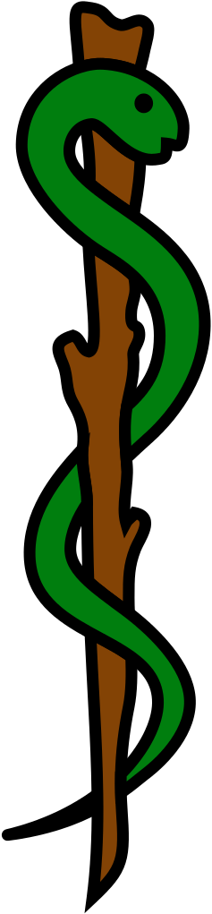 Esclapius Stick Coloured - Bastão De Esculápio Medicina (237x1021)