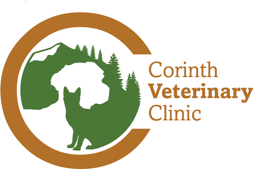 Veterinary Clinic - Corinth Veterinary Clinic (1000x662)