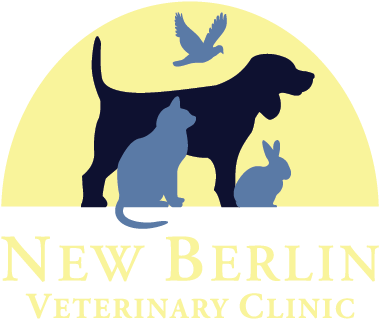 Logo - Pet Clinic Logo (500x336)