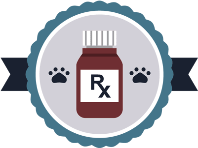 Online Pharmacy - Vector Graphics (400x387)