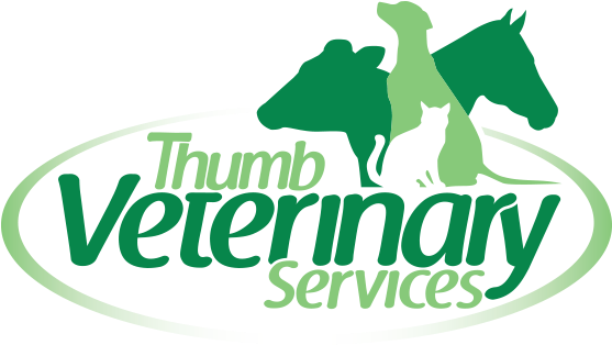 Veterinary Services Logo (576x335)