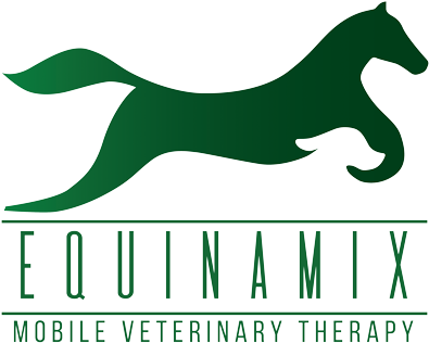 Equinamix Is Under Construction - Mustang Horse (459x383)