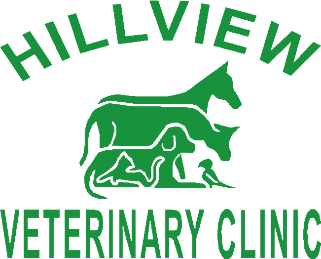 Back - Hillview Veterinary Clinic (651x524)