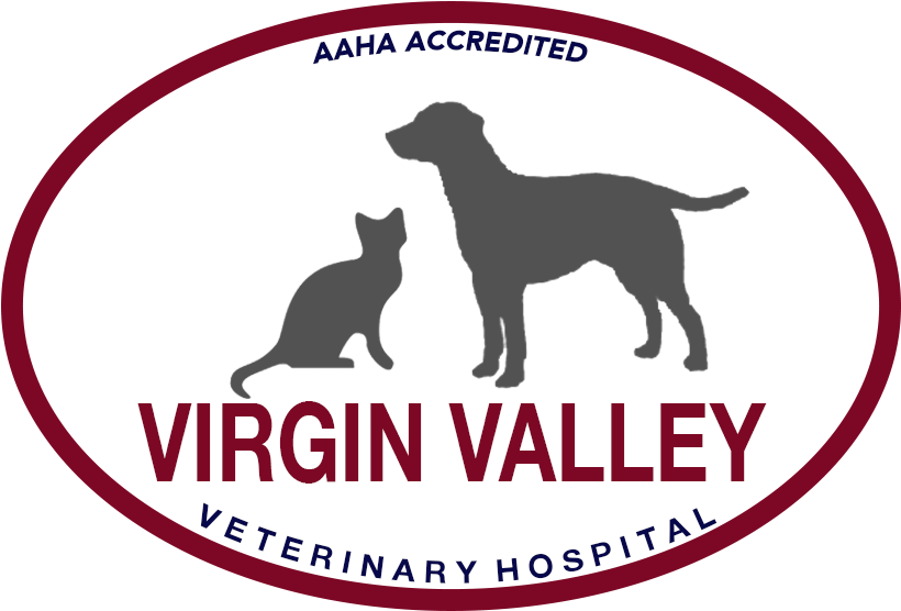 Virgin Valley Veterinary Hospital - Cafepress Cat Was Right Scarf (856x574)