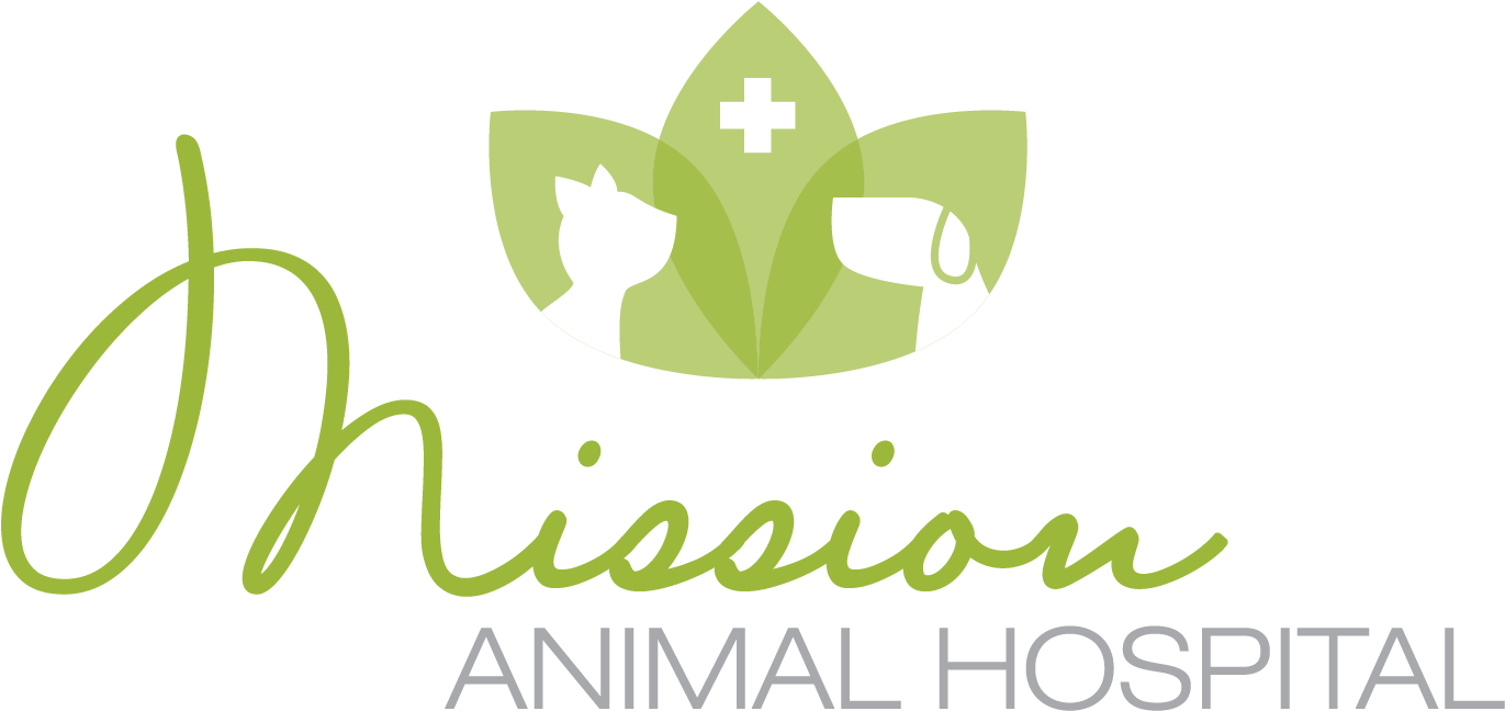 Site Logo - Graphic Design (1438x663)