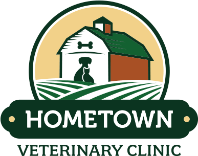 Ivet360 Veterinary Logo Design Hometown - Veterinary Physician (500x500)