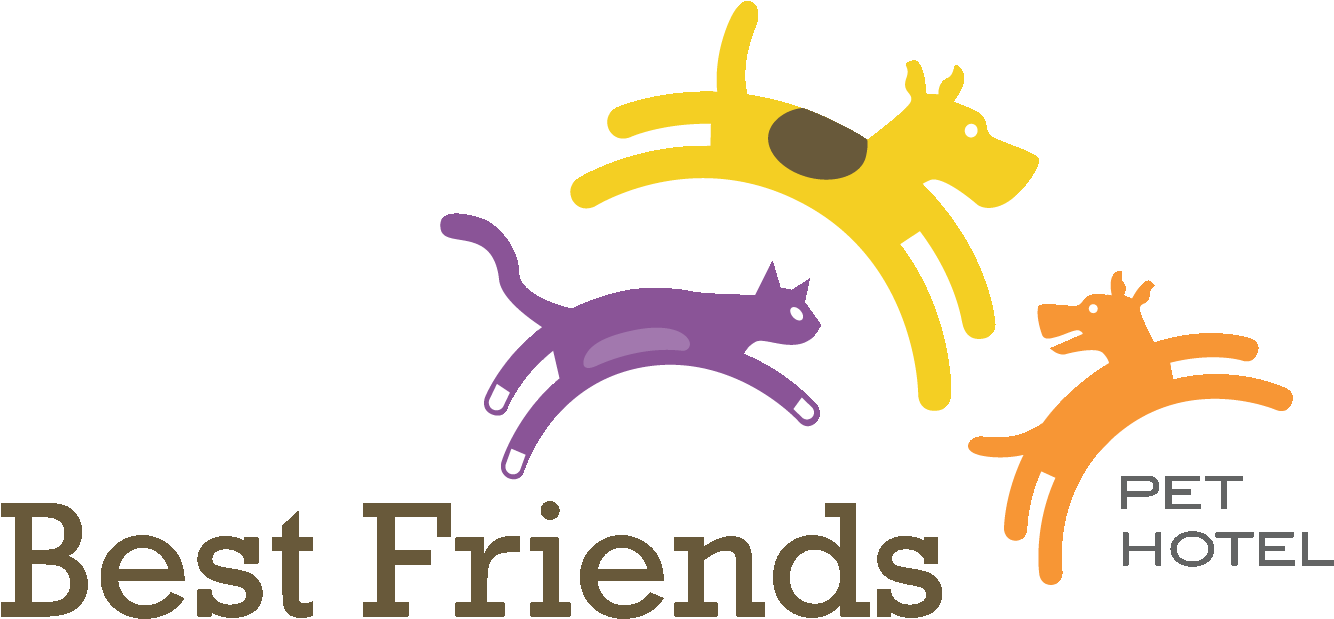 Best Friends Pet Care - Fruit Infused Water: Easy & Tasty Fruit Infused (1344x618)