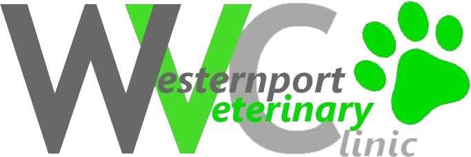 Westernport Veterinary Clinic - Veterinary Physician (683x229)