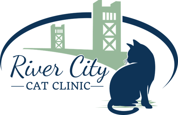 Cat Only Veterinary Care In The Land Park Region Of - Cat (600x387)