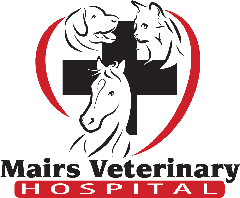 Mairs Veterinary Hospital Logo - Stallion (1220x1017)