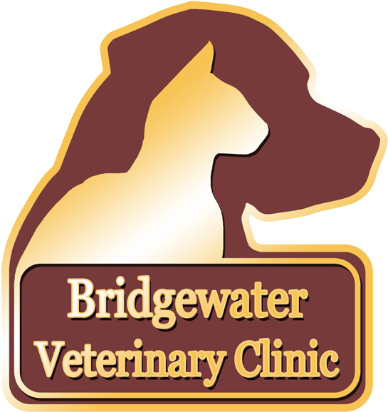 "caring For Pets And The People Who Love Them Since - "caring For Pets And The People Who Love Them Since (600x653)