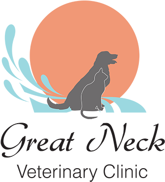 Great Neck Veterinary Clinic - Singing Guru By Kamla K. Kapur & Nikkyguninder (400x373)