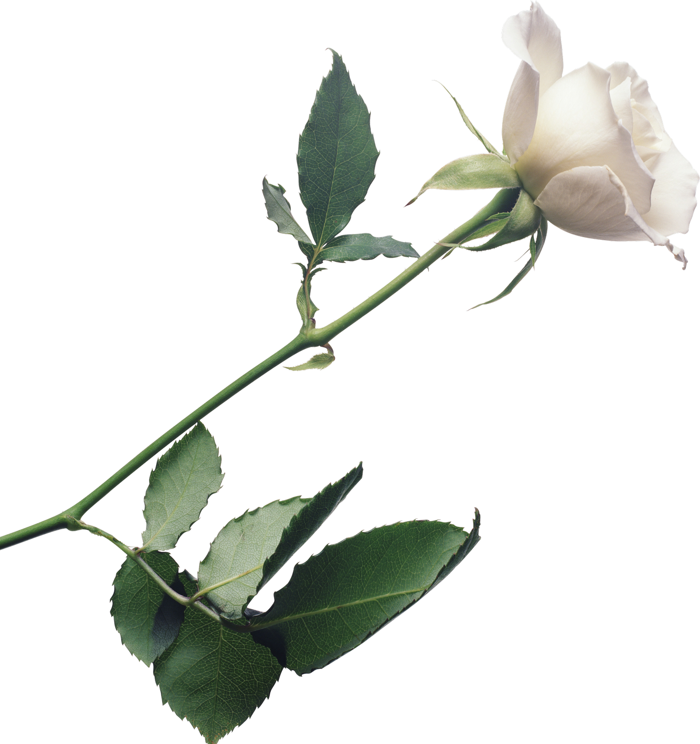 Johnny Mathis / Love Songs (1386x1473)