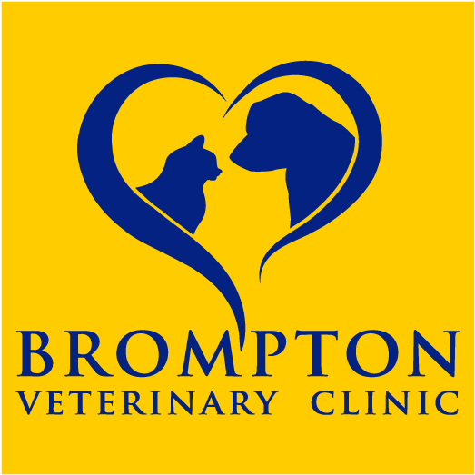 Elegant, Upmarket, Clinic Logo Design For A Company - Vet Clinic (1000x1000)