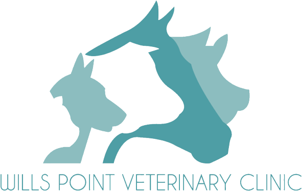 Shop By Category - Wills Point Veterinary Clinic (618x400)