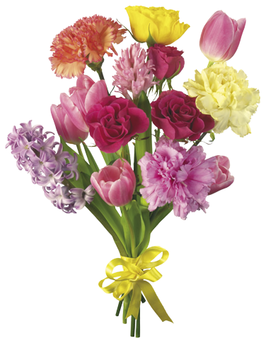 Flower Bouquet 2 By Dementiarunner - Cosmic Nature I Canvas Print - Small By Nikola Nupra (512x512)