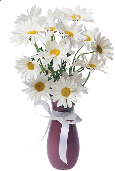 Daisies Transparent Vase Bouquet - Flower Vase Png Transparent (407x600)