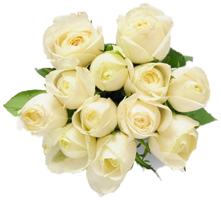 Bunch Of 12 White Roses - White Rajnigandha Flower Png (450x450)