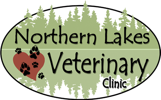 At The Northern Lakes Veterinary Clinic, We Consider - Cafepress My Soaps Rectangle Magnet (550x346)