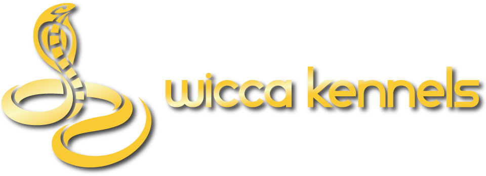 Vet Care For Reptiles - Veterinary Physician (960x349)