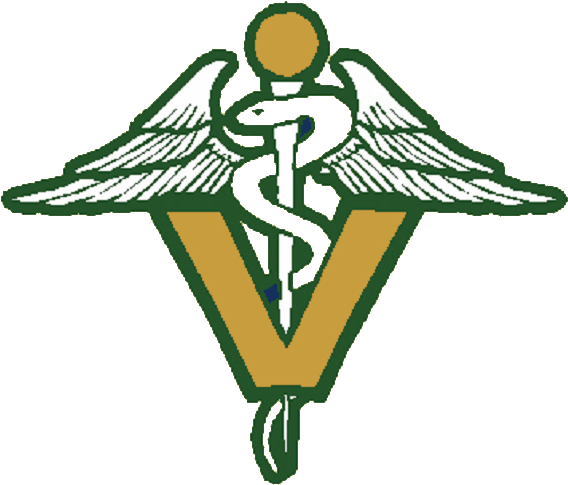 Algonquin East Animal Clinic - Veterinary Medicine (580x509)