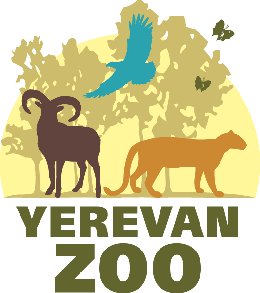 Clinic - Zoo Of Yerevan (533x600)