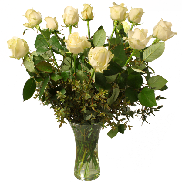 12 White Roses - Floribunda (600x600)