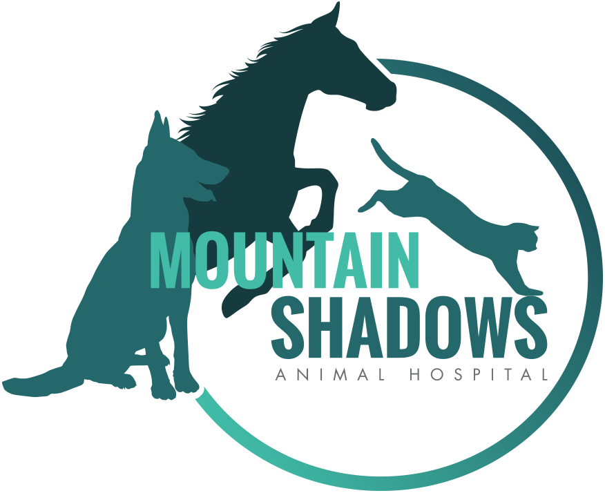 Mountain Shadows Animal Hospital - Mountain Shadows Animal Hospital (876x714)