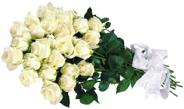 White Roses Zoom - 30 White Roses (600x370)