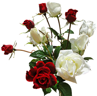 Bouquet Roses Flowers Red Roses And White - Transparent Bouquet (460x340)