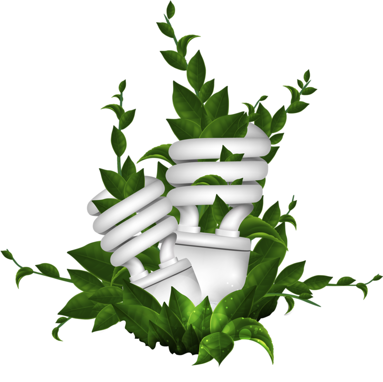 Natural Environment Euclidean Vector Energy Illustration - Portable Network Graphics (751x800)