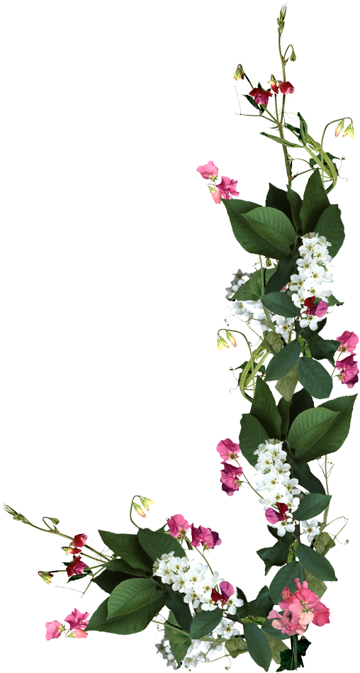 Flores Naturales, Natural Flowers - Boa Tarde Emoji (800x960)