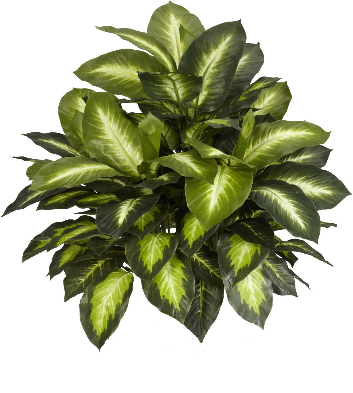 Leafs And Flowers Download Free - Nearly Natural Silk Plants (1624x1456)