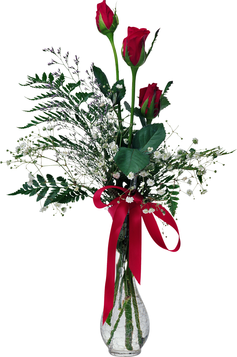 Flores Naturales, Natural Flowers - Flores Naturales, Natural Flowers (800x1207)