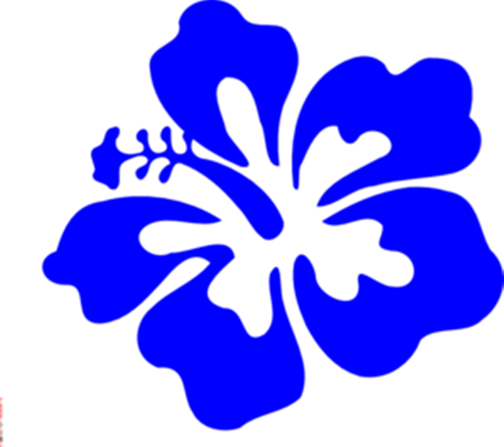 Tropical Flower Clip Art Borders - Hawaiian Flowers Clip Art (722x640)