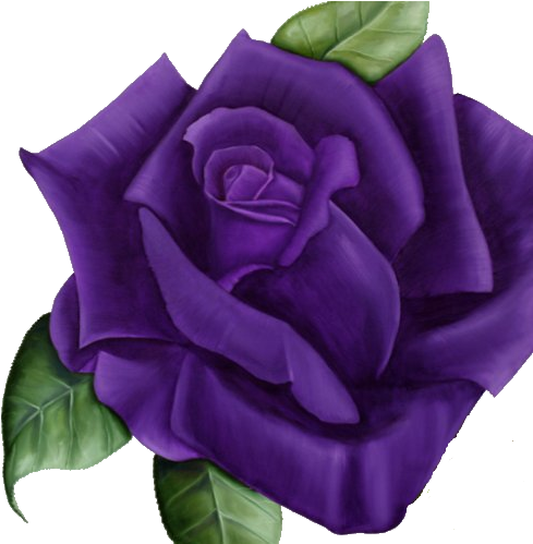 Flowers Png Story By Melody Nankervis - Cystic Fibrosis Awareness Month (500x498)