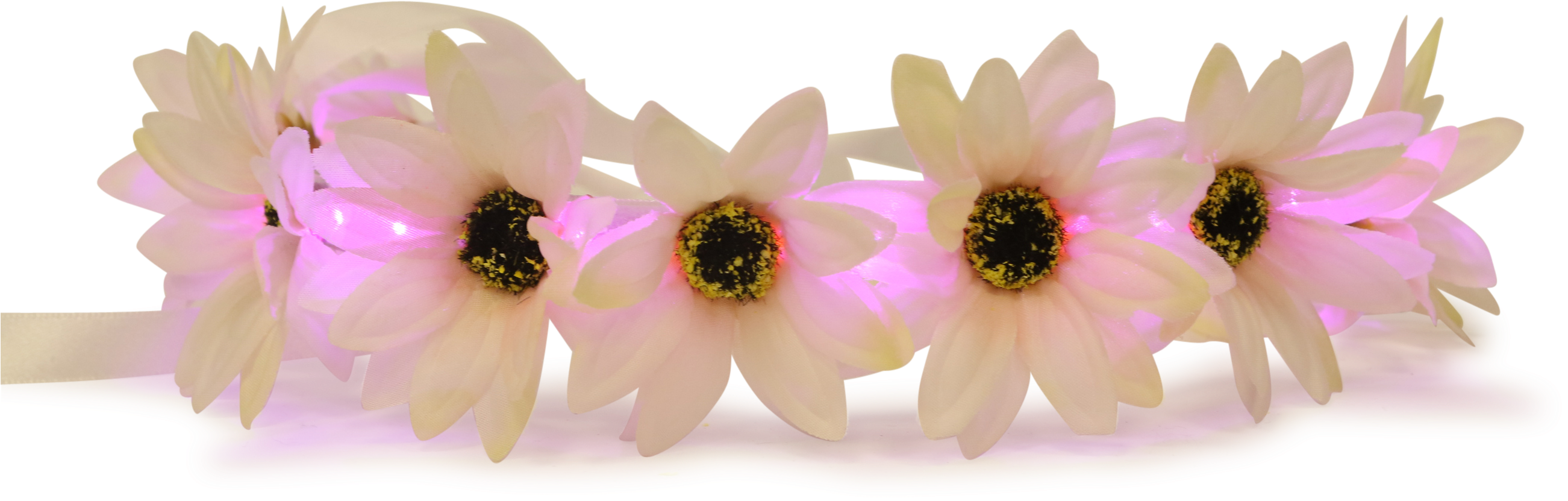 National Geographic Magazine - Flower Crown Hd Png (2736x1824)