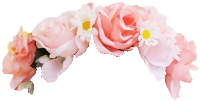 Rose Flower Crown Snapchat Filter Transparent Png Png - Snapchat Filters With No Background (400x400)