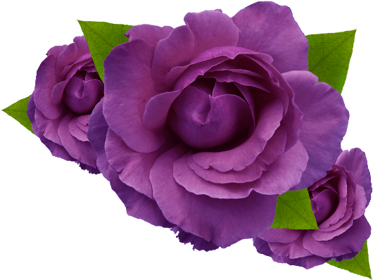 Transpa Purple Flower Crown - Flower (1084x650)