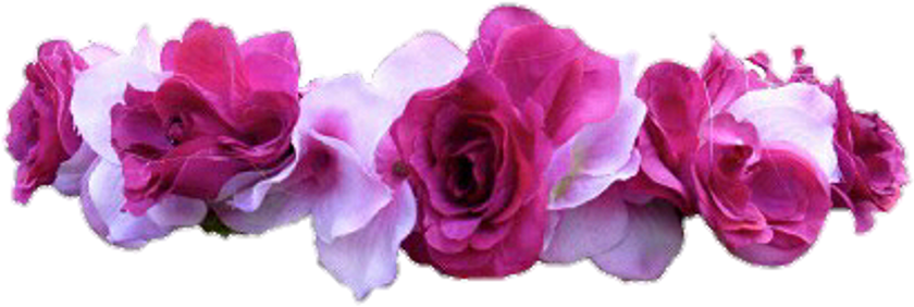 Flower Flowers Flowercrown Flowerband Headband Overlay - Garden Roses (1024x1024)