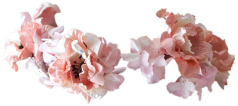 Transparent Flower Crown Png Download - Flower Crown Tumblr Fandom (500x256)