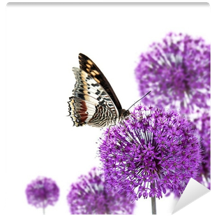 Exotic Butterfly On Allium Blossoms Wall Mural • Pixers® - Mini Poster Encadré: Fleurs - Purple Summer 40x50 Cm (400x400)