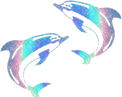 Cool Pink Dolphin Background Rainbow Dolphin Tumblr - Common Bottlenose Dolphin (430x424)