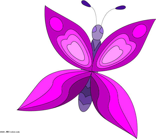 Butterfly Raster Picture - Кліпарт Метелик (822x567)