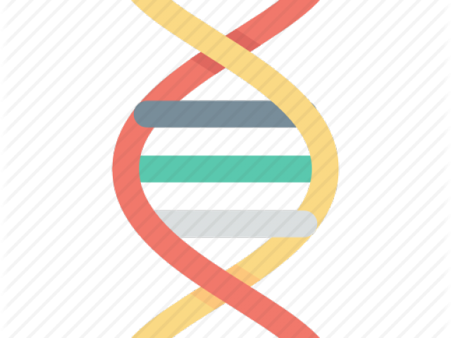 Dna Helix Clipart - Dna Helix (640x480)