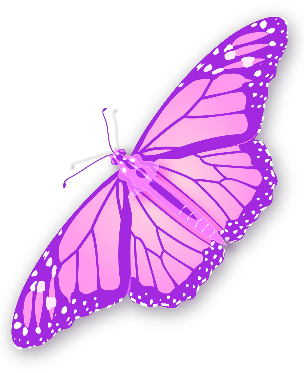 Today Is Butterfly Day - Free Butterfly Clip Art (1300x1300)
