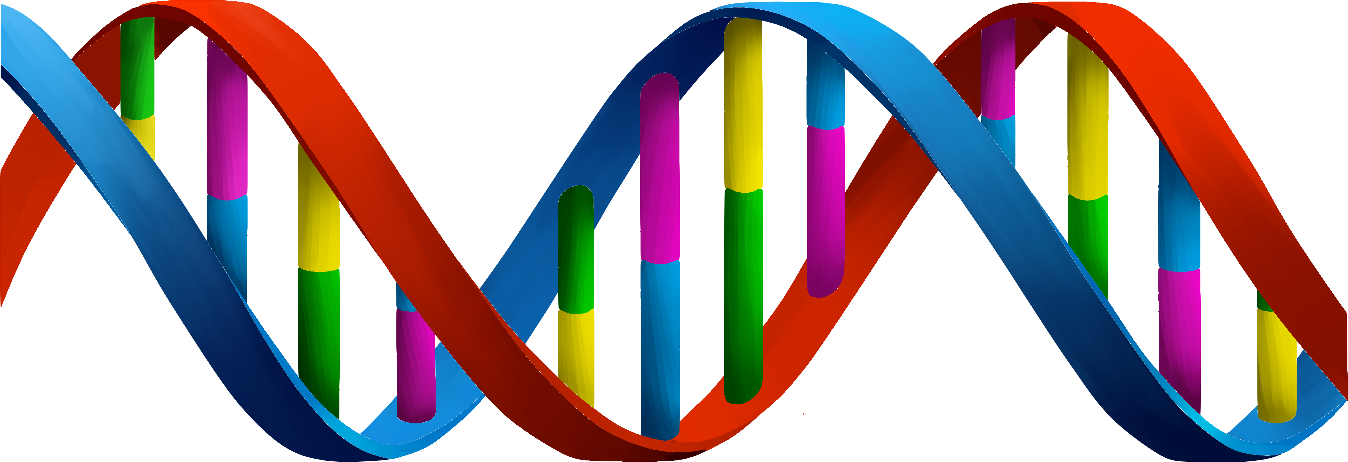 Dna Png (5000x2000)