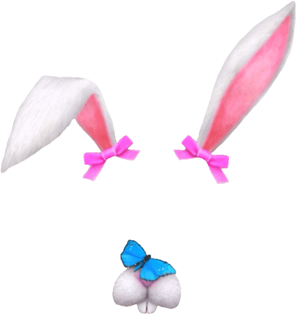 Snapchat Filter Bunny Fold - Snapchat Filters Png (622x726)