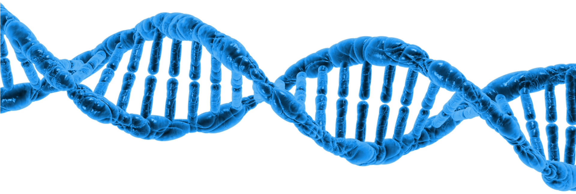 Dna String Double Helix - Missing Link: What It Means (1920x1080)